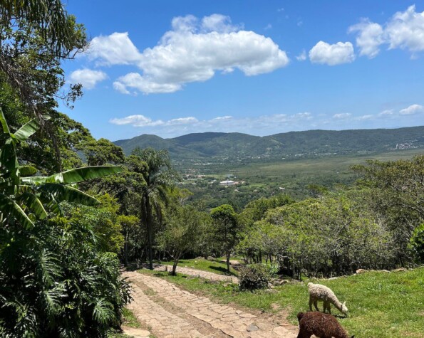 Em Ratones em Florianópolis Propriedade de 77 mil m2