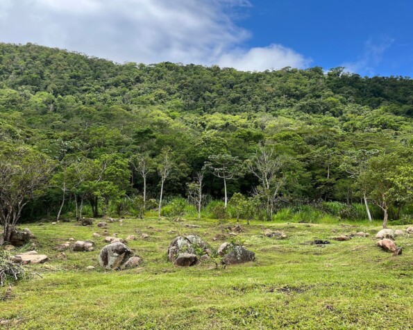 Em Ratones em Florianópolis Propriedade de 77 mil m2