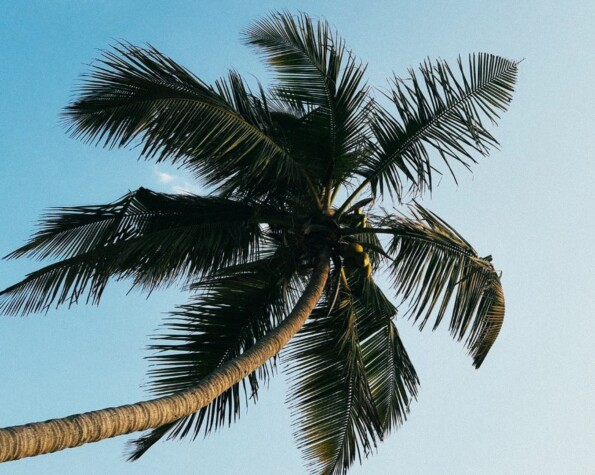 Casa Brutalista Exclusiva em Jurerê Internacional – A Casa do Cineasta