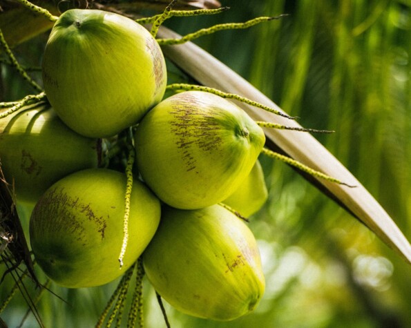 Casa Brutalista Exclusiva em Jurerê Internacional – A Casa do Cineasta