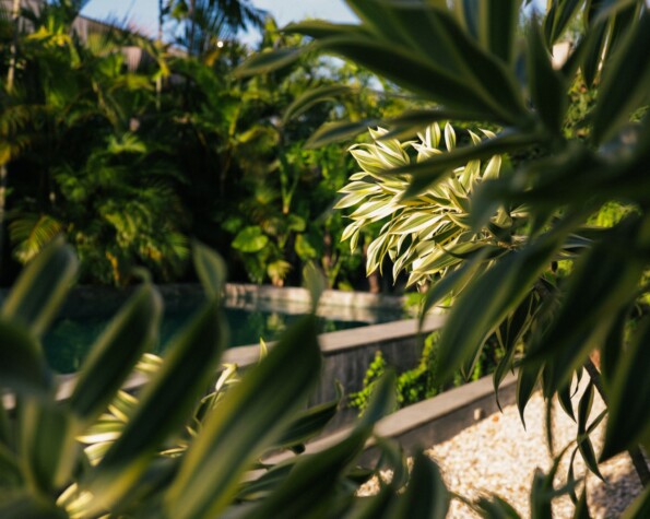 Casa Brutalista Exclusiva em Jurerê Internacional – A Casa do Cineasta