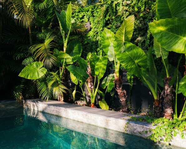 Casa Brutalista Exclusiva em Jurerê Internacional – A Casa do Cineasta